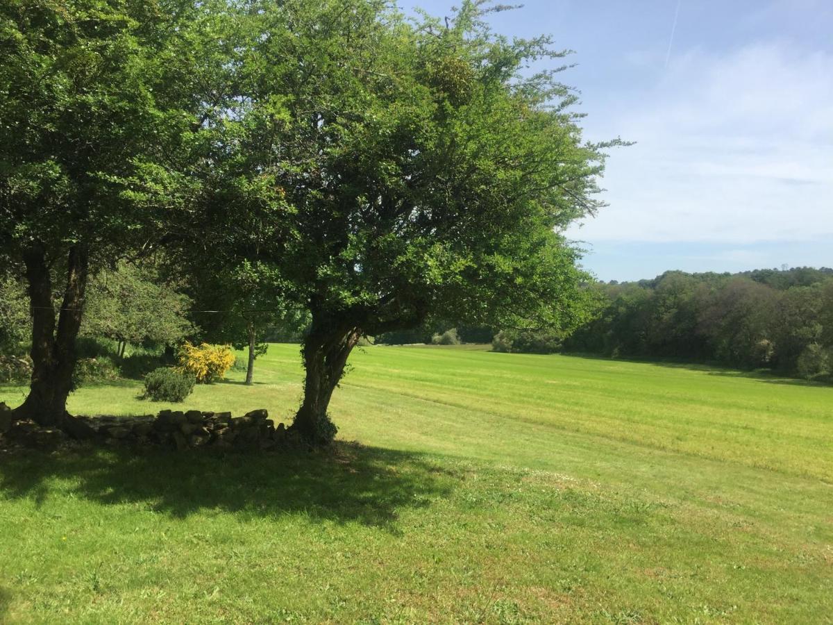 Gite Au Calme 2 A 6 Personnes Dans Un Paysage Totalement Paisible -Plages A 22 Min- Quite Cottage 2 To 6 Persons In Total Peaceful Landscape -Beaches At 22 Min- Landévant Exteriör bild